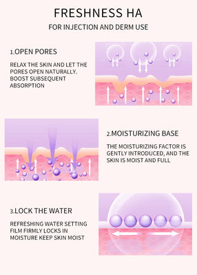 OEM Meso Therapy Serum Freshness Ha تزریق هیالورونیک اسید مرطوب کننده