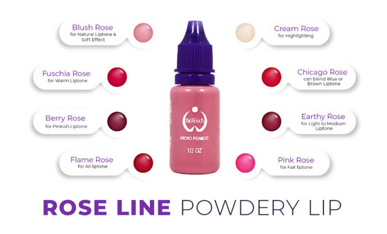 Biotouch Micro Pigment Rose Pigment Makeup Permanent Makeup Microblading Supplies Eebrow Shading MicrGel polishgmentation
